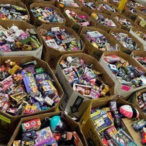 Premium Toys Liquidation Pallets